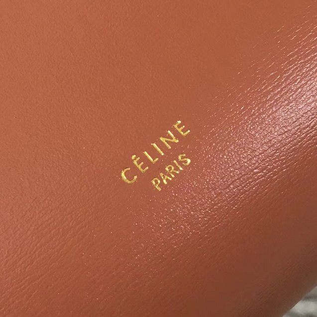 Celine original smooth calfskin micro belt bag 189153 coffee