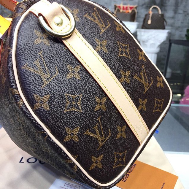 Louis vuitton original handmade monogram canvas speedy 25 M41113