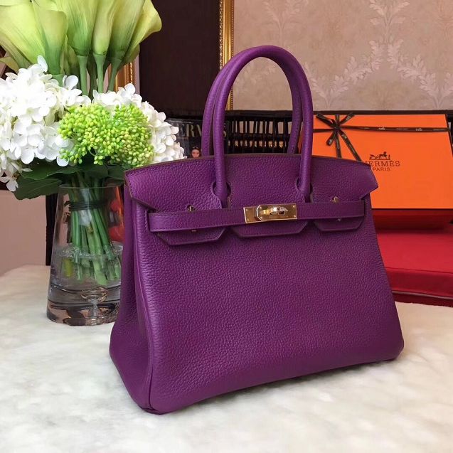 Hermes original togo leather birkin 30 bag H30-1 purple