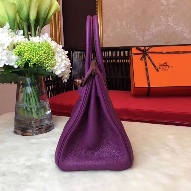 Hermes original togo leather birkin 30 bag H30-1 anemone