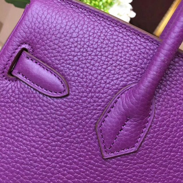 Hermes original togo leather birkin 25 bag H25-1 purple