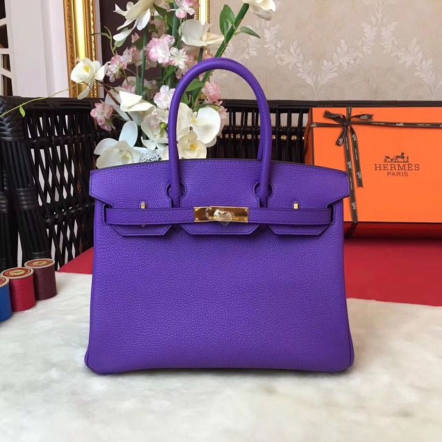 Hermes original togo leather birkin 25 bag H25-1 violet