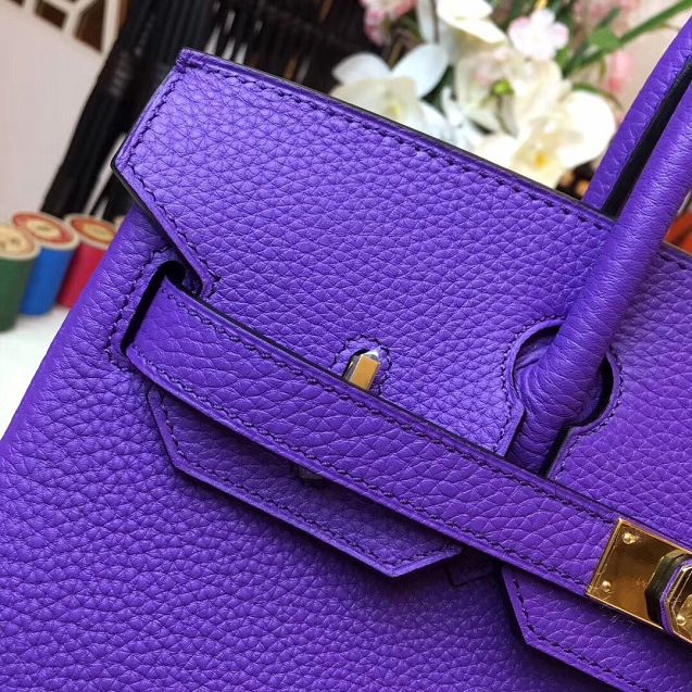 Hermes original togo leather birkin 30 bag H30-1 violet