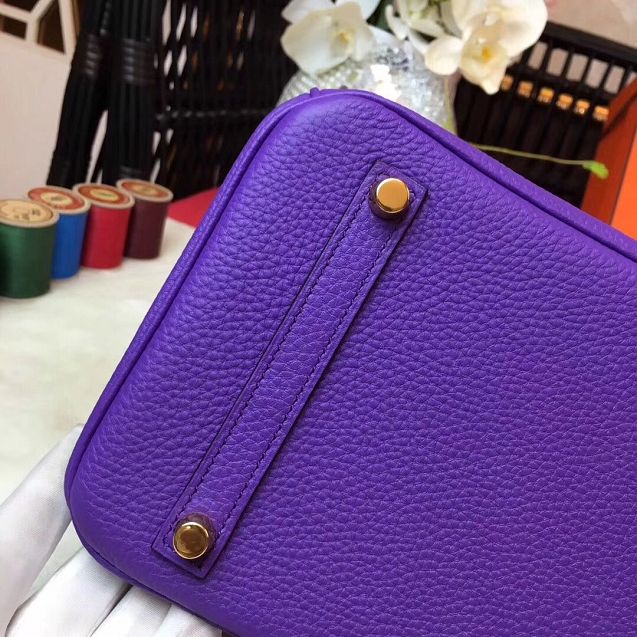 Hermes original togo leather birkin 25 bag H25-1 violet