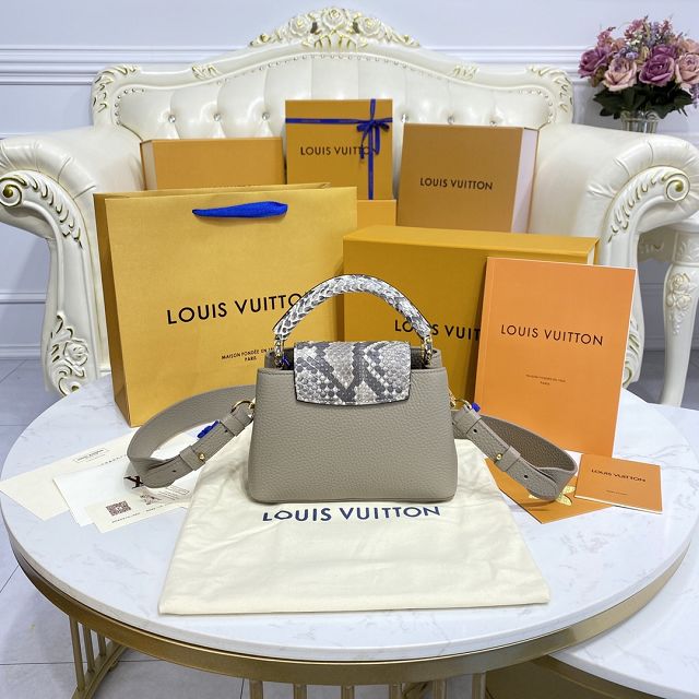 Louis vuitton original calfskin capucines mini handbag M55986 grey