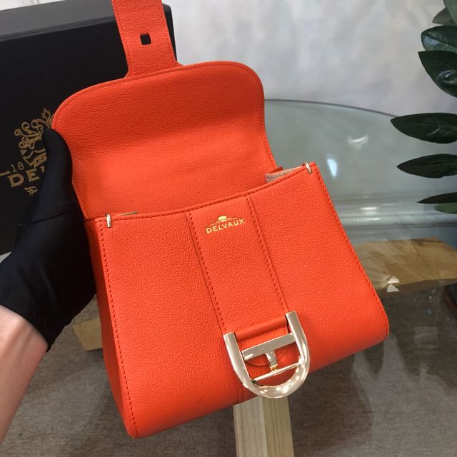 Delvaux original grained calfskin brillant mini bag AA0406 orange