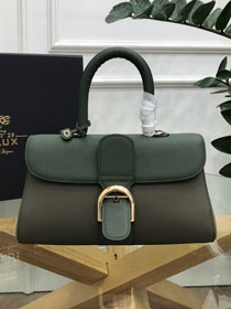Delvaux original grained calfskin brillant small bag AA0417 green&khaki