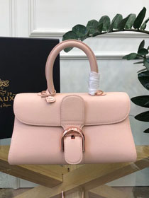 Delvaux original grained calfskin brillant small bag AA0417 nude