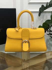 Delvaux original grained calfskin brillant small bag AA0417 yellow