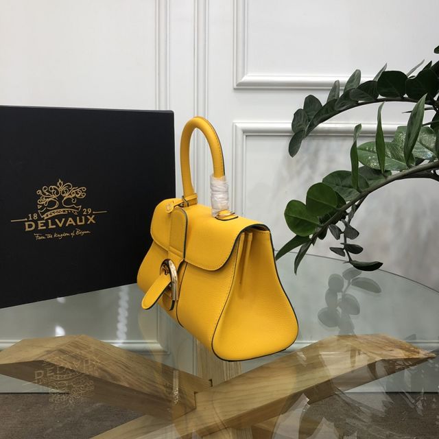 Delvaux original grained calfskin brillant small bag AA0417 yellow