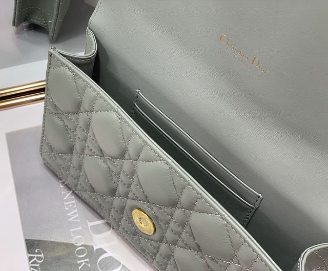 Dior original calfskin caro belt pouch S5091 gray