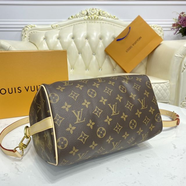 Louis vuitton original monogram canvas speedy 25 M41113