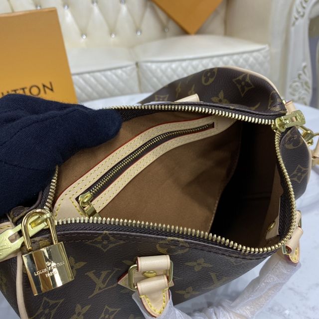 Louis vuitton original monogram canvas speedy 25 M41113