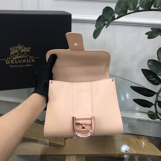 Delvaux original box calfskin brillant mini bag AA0406 apricot