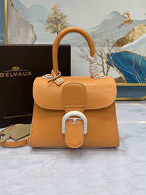 Delvaux original box calfskin brillant mini bag AA0406 orange