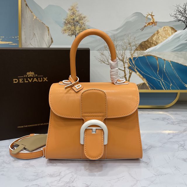 Delvaux original box calfskin brillant mini bag AA0406 orange