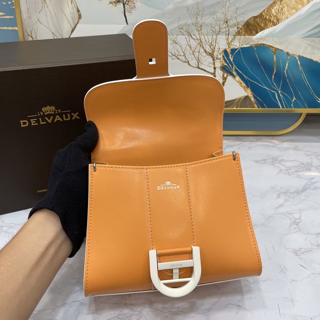 Delvaux original box calfskin brillant mini bag AA0406 orange