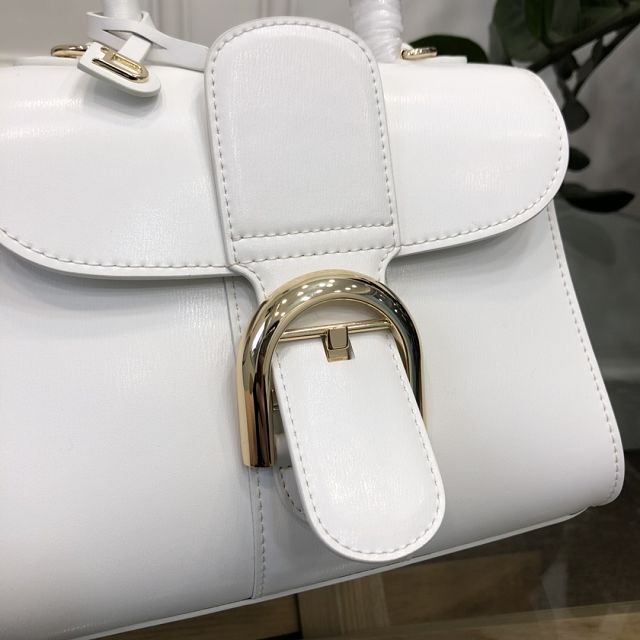 Delvaux original box calfskin brillant mini bag AA0406 white