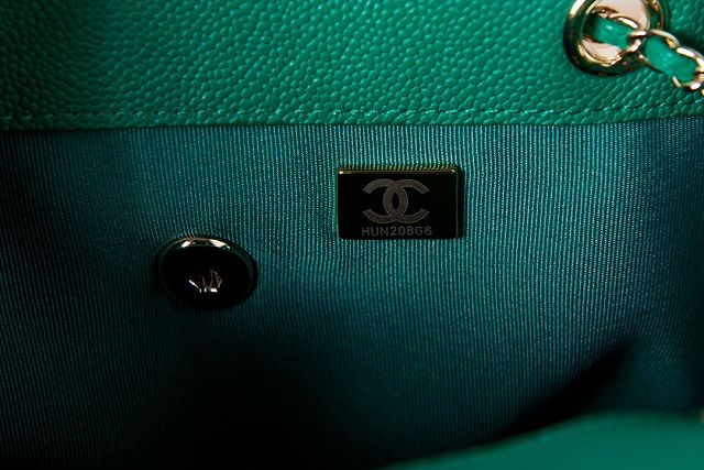 2023 CC original grained calfskin backpack AS3860 green