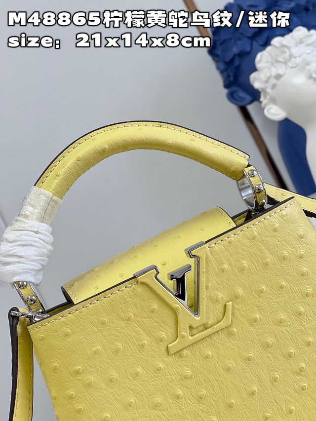 Louis vuitton original ostrich calfskin capucines mini handbag M93483 yellow