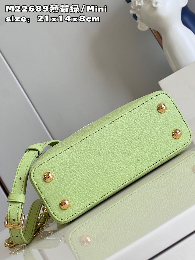 Louis vuitton original calfskin capucines mini handbag M48865 light green