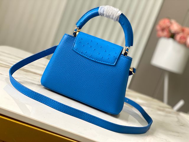 Louis vuitton original calfskin capucines mini handbag M22606 blue