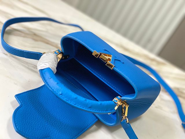 Louis vuitton original calfskin capucines mini handbag M22606 blue