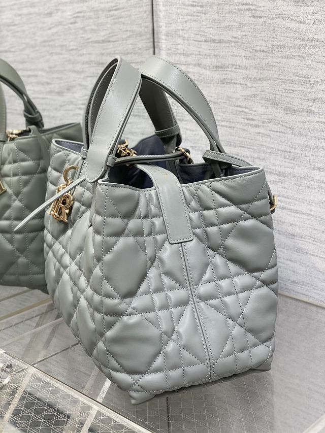 Dior original calfskin medium toujours bag M2821 stone grey
