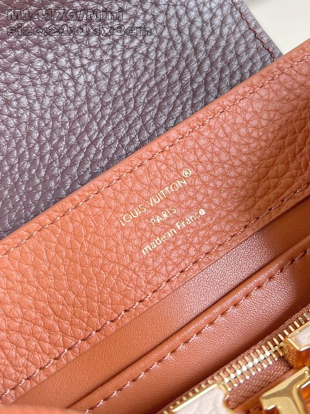 Louis vuitton original calfskin capucines mini handbag M22606 brown