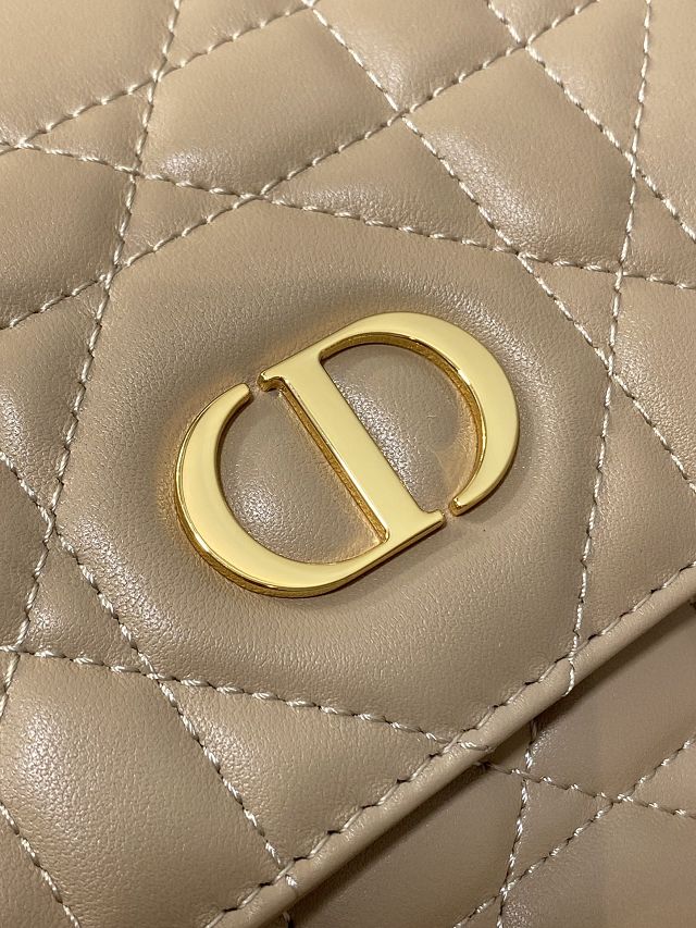 Dior original lambskin medium caro backpack M6301 biscuit