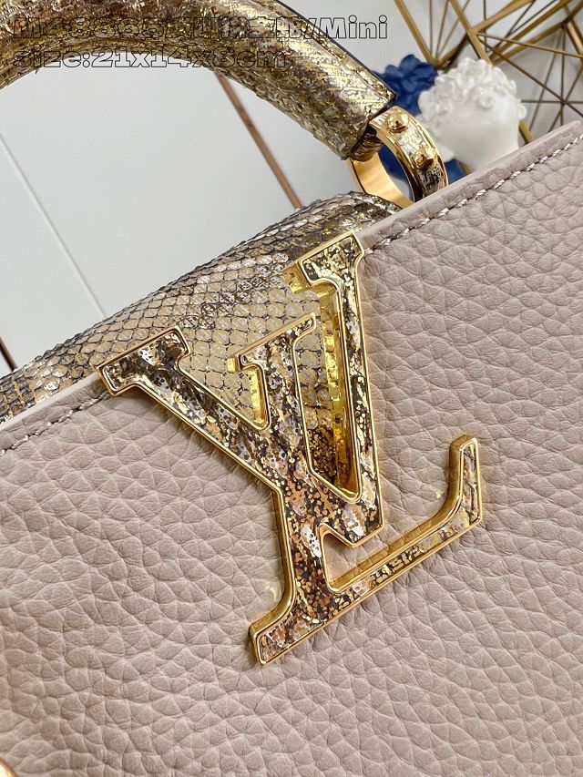 Louis vuitton original calfskin capucines mini handbag N85517 grey