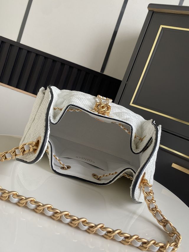 CC original raffia 25 small handbag AS5293 white