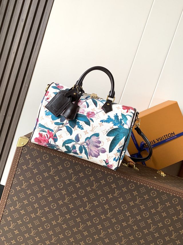 Louis vuitton original monogram eden speedy soft 30 M29066