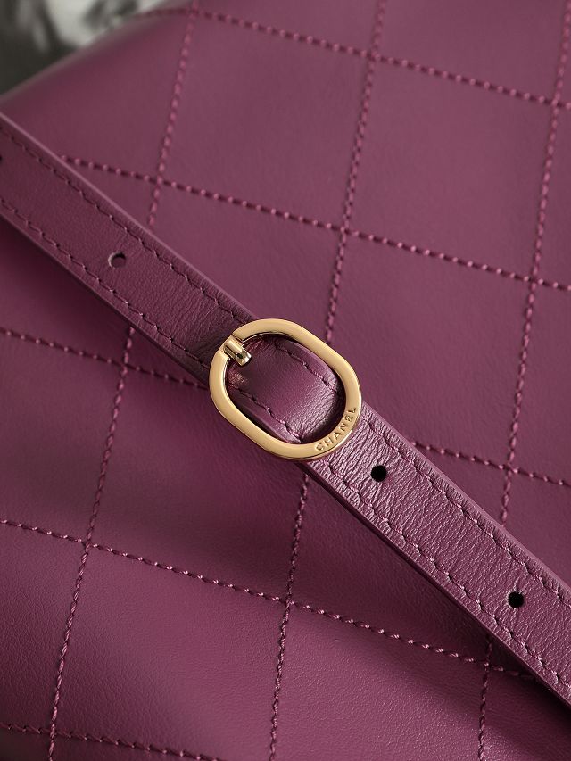 CC lambskin small hobo handbag AS6602 purple