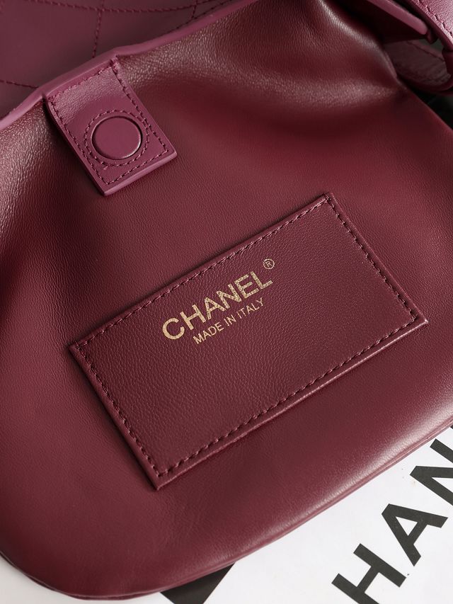 CC lambskin small hobo handbag AS6602 purple